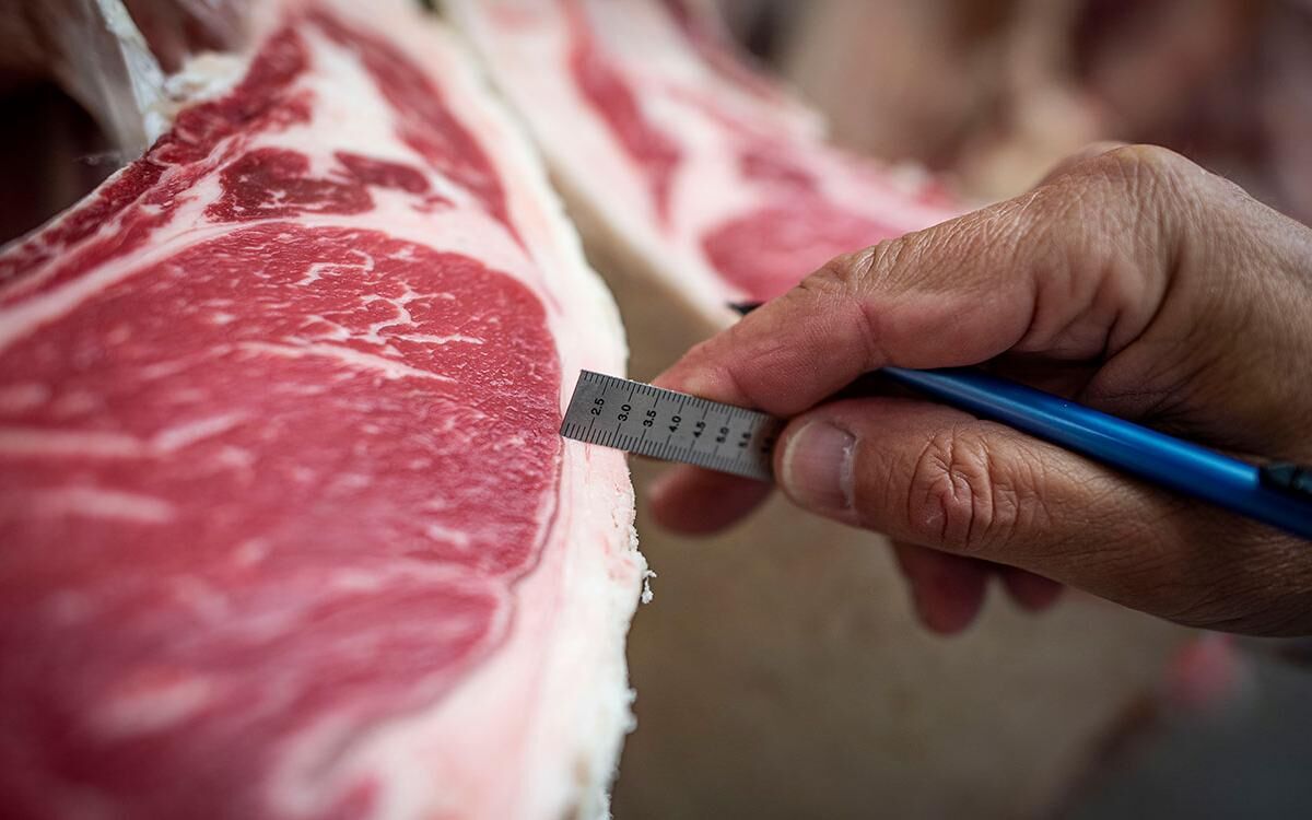 BN Generic Meat